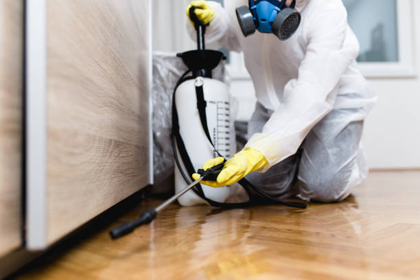 Best Affordable Pest Control Services  in Cheswold, DE