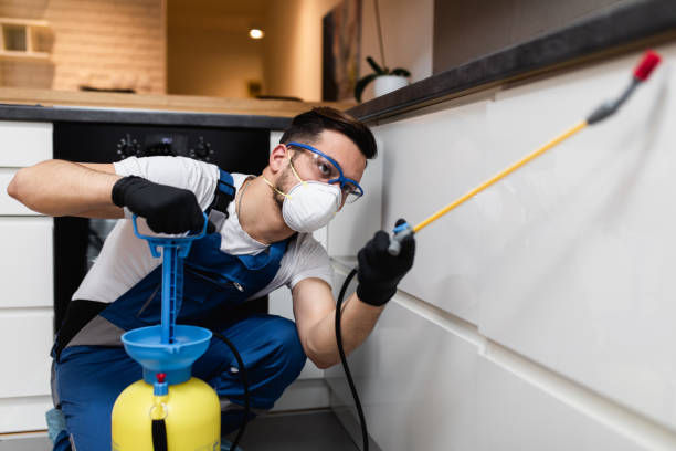 Best Bed Bug Extermination  in Cheswold, DE
