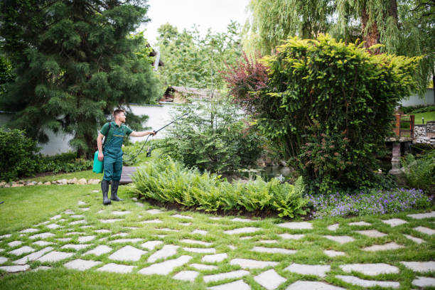 Best Affordable Pest Control Services  in Cheswold, DE