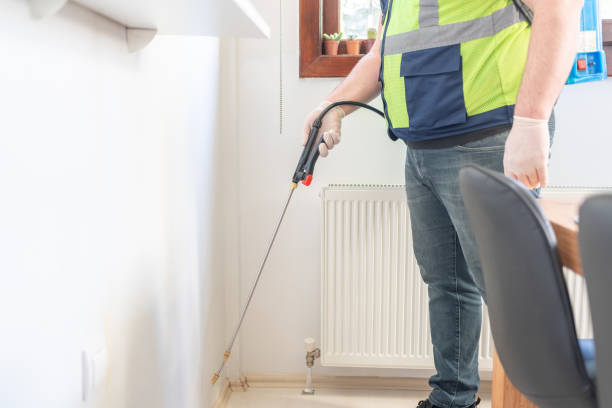 Best Pest Control Treatment  in Cheswold, DE