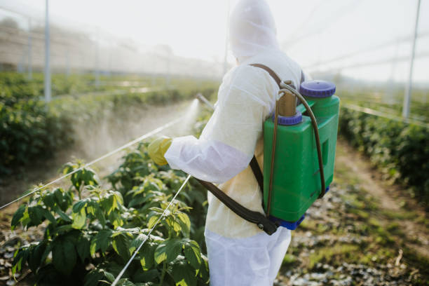 Best Commercial Pest Control Services  in Cheswold, DE